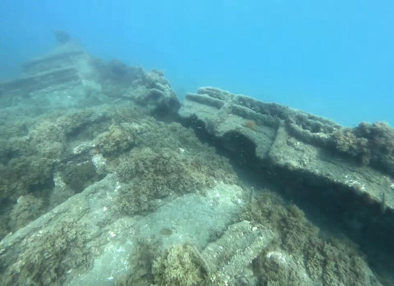 An underwater scene with a large, weathered shipwreck and overgrown marine vegetation. 1