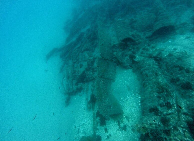 An underwater scene with visible coral formations and marine life. 3
