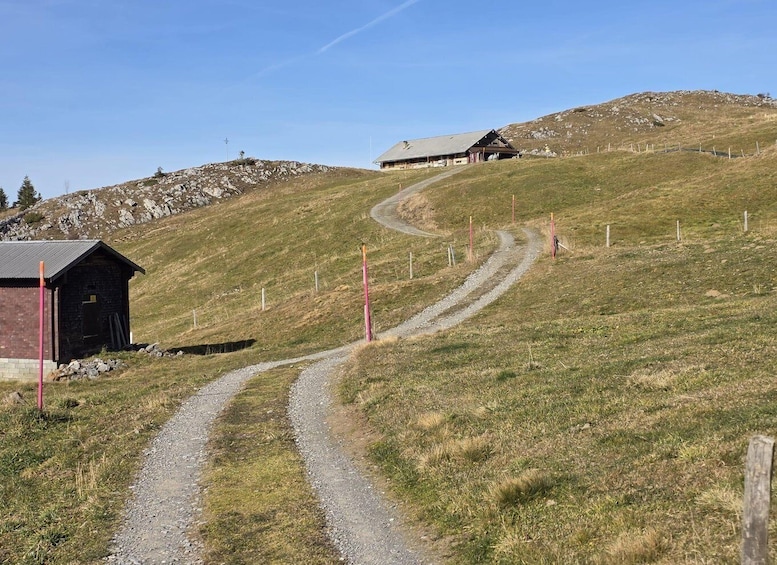 A gravel path leading to a mountain cabin, surrounded by grassy terrain and rocky outcrops. 5