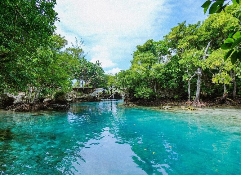 Picture 20 for Activity Port Vila: Blue Lagoon Tour and Snorkeling 2