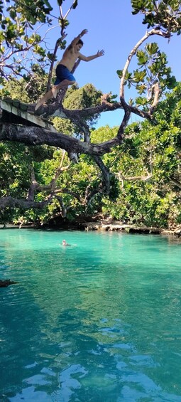 Picture 19 for Activity Port Vila: Blue Lagoon Tour and Snorkeling 5