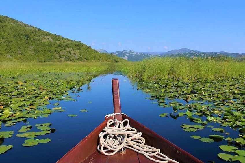 A narrow waterway with lily pads, a rope, and a boat. 5