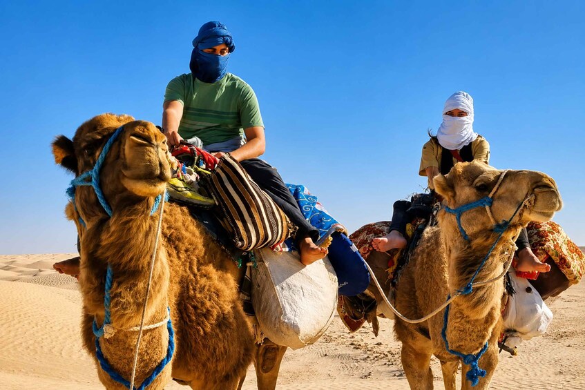 Two camels with riders in a desert landscape. 2