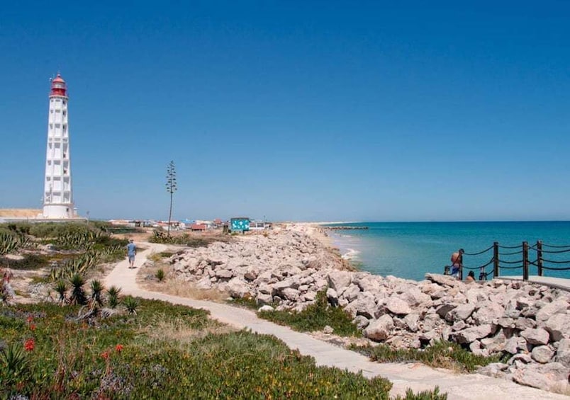 A coastal landscape with a lighthouse, rocky beach, and a clear blue sky. 3