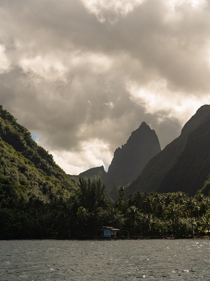A coastal landscape with a small house near the water, surrounded by lush greenery and a prominent mountain peak. 1