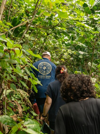 A person in a blue shirt with a logo and text, walking through a dense green forest. 5