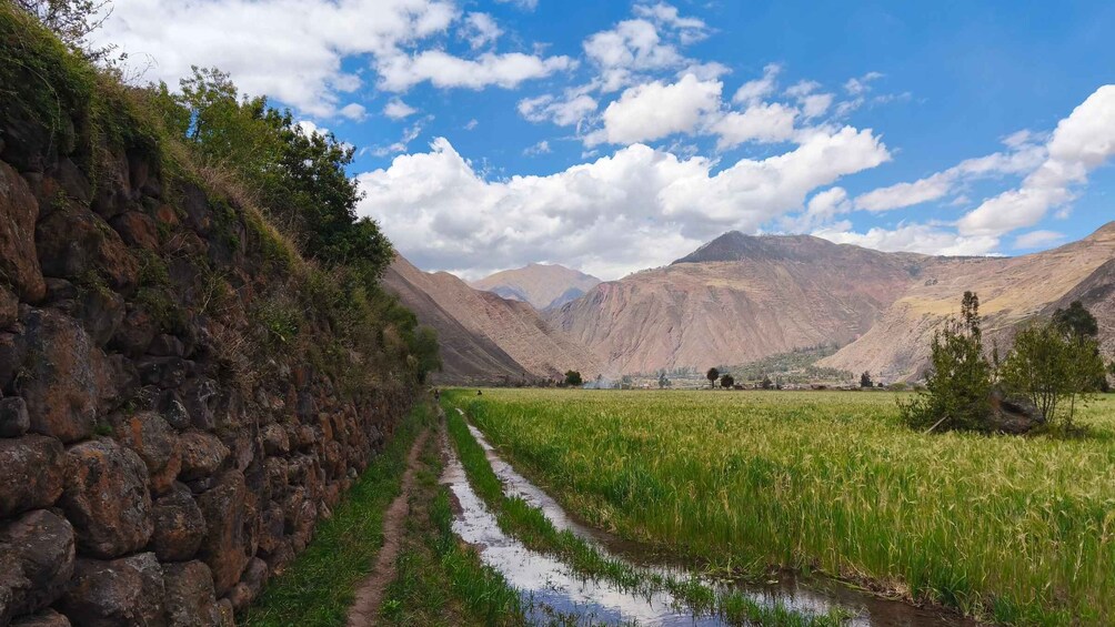 A rural landscape with a stone wall, a narrow water channel, and a field of crops under a partly cloudy sky. 3