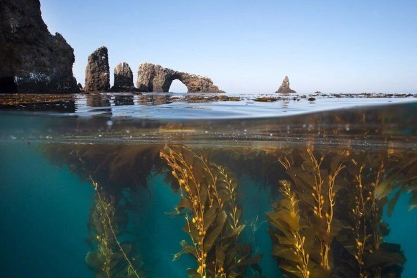 A coastal landscape with clear water, seaweed, and rock formations. 2