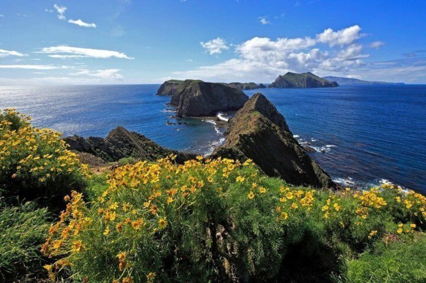 A coastal landscape with prominent rock formations and a clear blue sky. 4