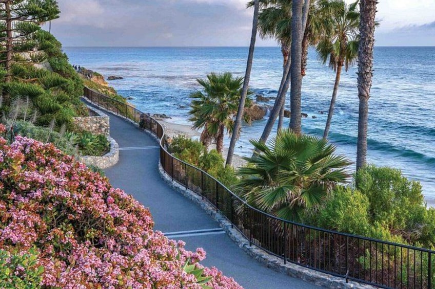A coastal pathway with palm trees, flowers, and the ocean. 4