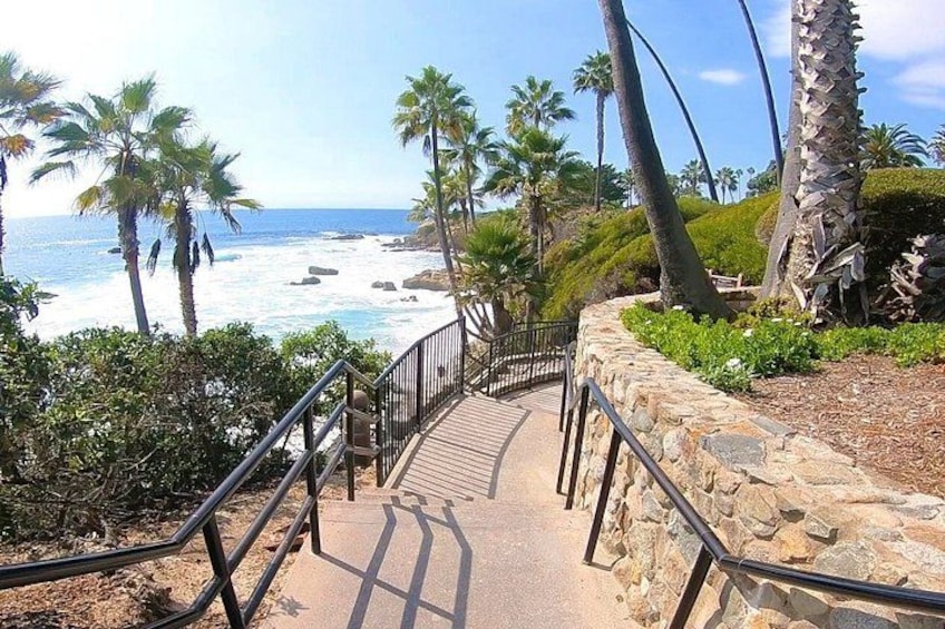 A coastal pathway with palm trees, ocean view, and a stone wall. 3