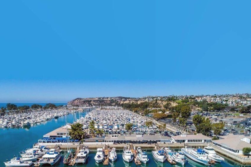 A marina with numerous boats docked, a clear blue sky, and a hilly landscape in the background. 5