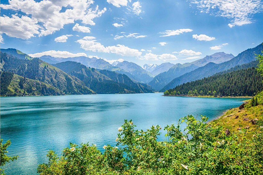 Urumqi: Tianchi Lake Day Trip with Guide and Lunch 1