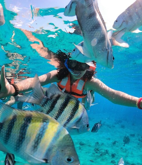 A person snorkeling surrounded by various fish in clear blue water. 1