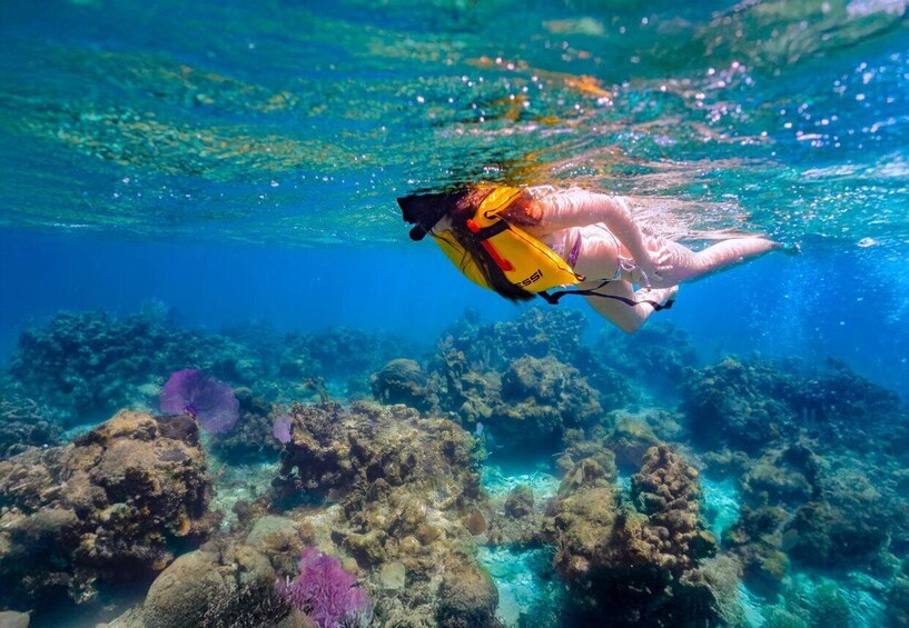 A person scuba diving with a yellow tank and fins. 2
