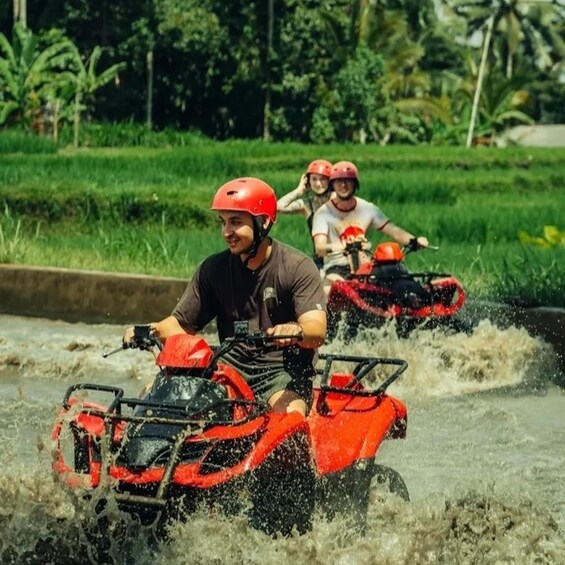 Picture 21 for Activity Bali: Mt Batur Sunrise Jeep Tour with Hot Spring & Ubud ATV 3