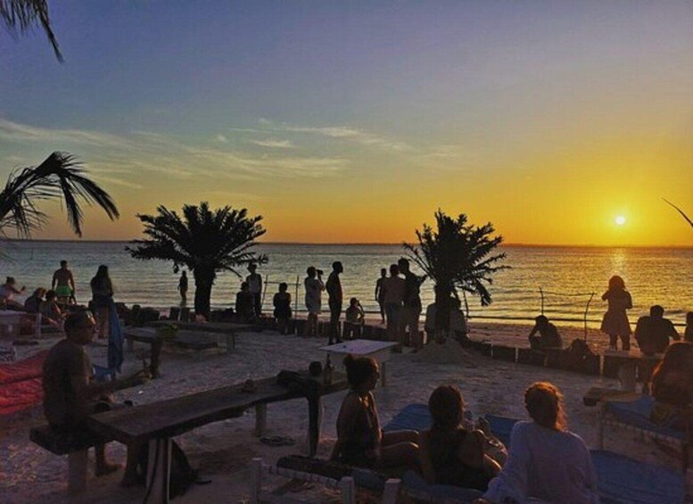 A beach at sunset with people sitting and standing, palm trees, and the ocean. 3