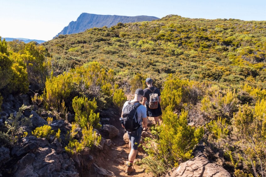 Two hikers on a rocky trail surrounded by green shrubbery and a mountain in the background. 4