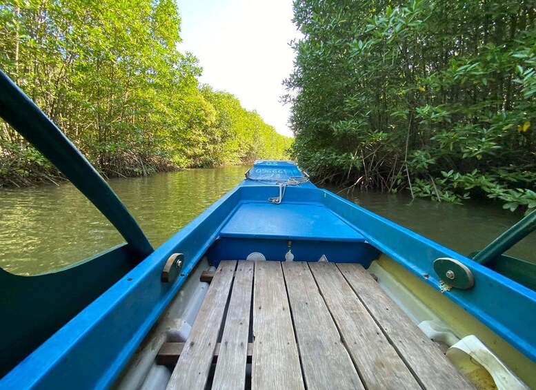 Picture 46 for Activity Kampot Pepper Farm,Salt Pans,Secret Lake & Mangrove Eco-Tour 4