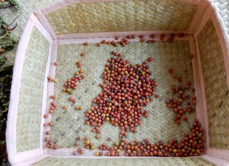 A woven basket filled with small, round, red and yellow fruits. 3