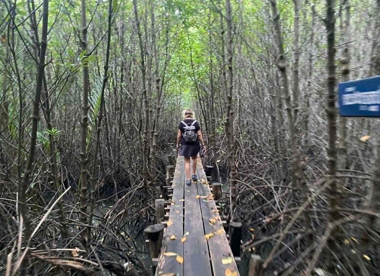 Picture 40 for Activity Kampot: Mangrove Forest, Hidden Caves,Veha Café &Pepper Farm 4