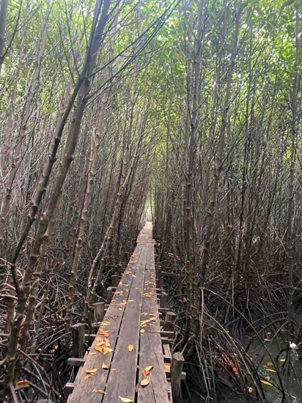 Picture 38 for Activity Kampot: Mangrove Forest, Hidden Caves,Veha Café &Pepper Farm 5