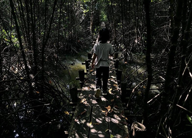 Picture 37 for Activity Kampot Pepper Farm,Salt Pans,Secret Lake & Mangrove Eco-Tour 5
