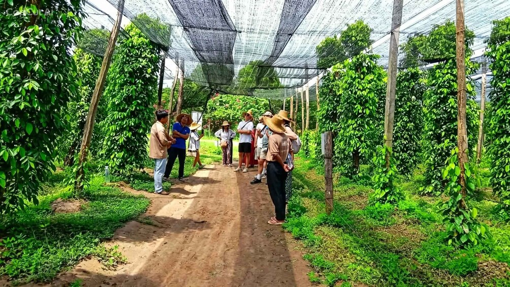 A group of people walking through a greenhouse with plants on either side. 2