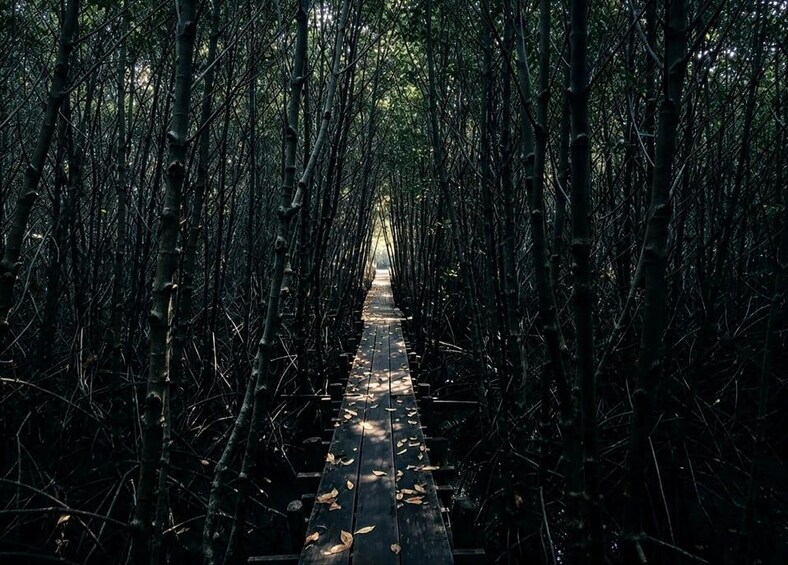 Picture 36 for Activity Kampot Pepper Farm,Salt Pans,Secret Lake & Mangrove Eco-Tour 2