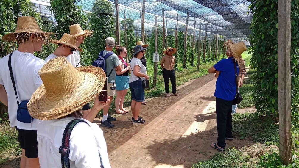 A group of people standing on a dirt path in a greenhouse with plants. 1