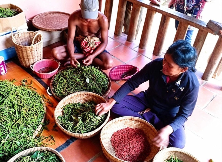 A person sorting green leaves into baskets on the floor. 5
