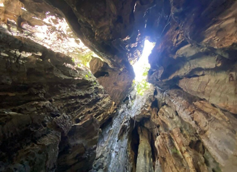 Picture 18 for Activity Kampot: Mangrove Forest, Hidden Caves,Veha Café &Pepper Farm 2