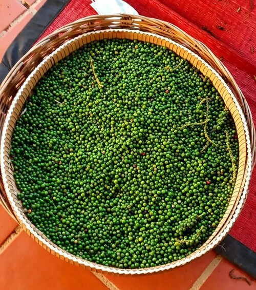 A basket filled with green peas on a red surface. 5