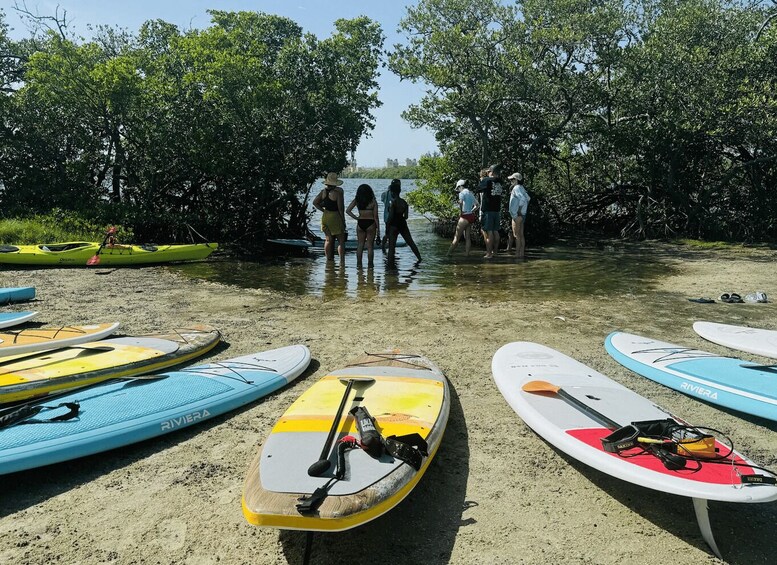 Kayaks and paddleboards on a sandy beach with people standing in the water. 1