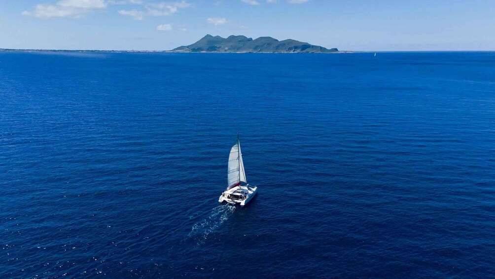 Egadi Islands: Catamaran Tour with On-Board Fresh Seafood Lunch 4