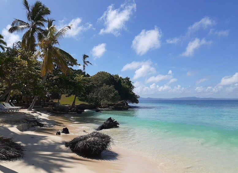 A tropical beach with clear turquoise water, palm trees, and a rocky shoreline. 1