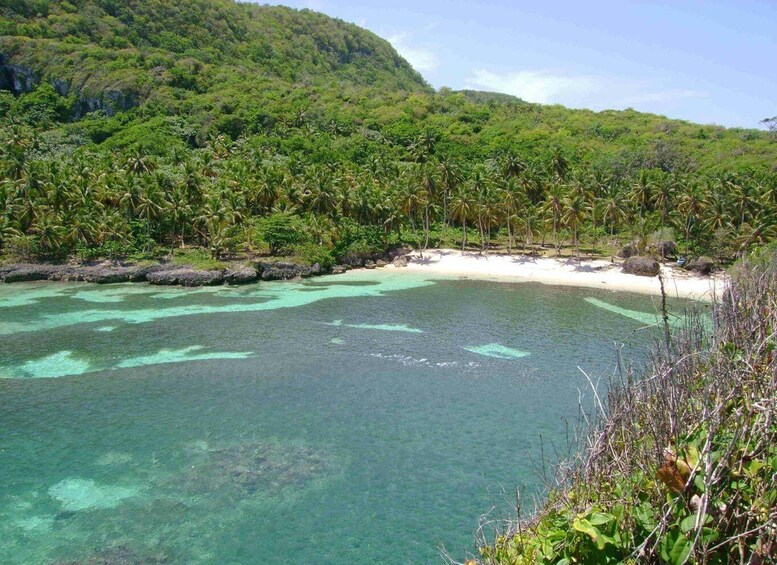 A tropical beach with clear turquoise waters, white sand, and dense green vegetation. 4