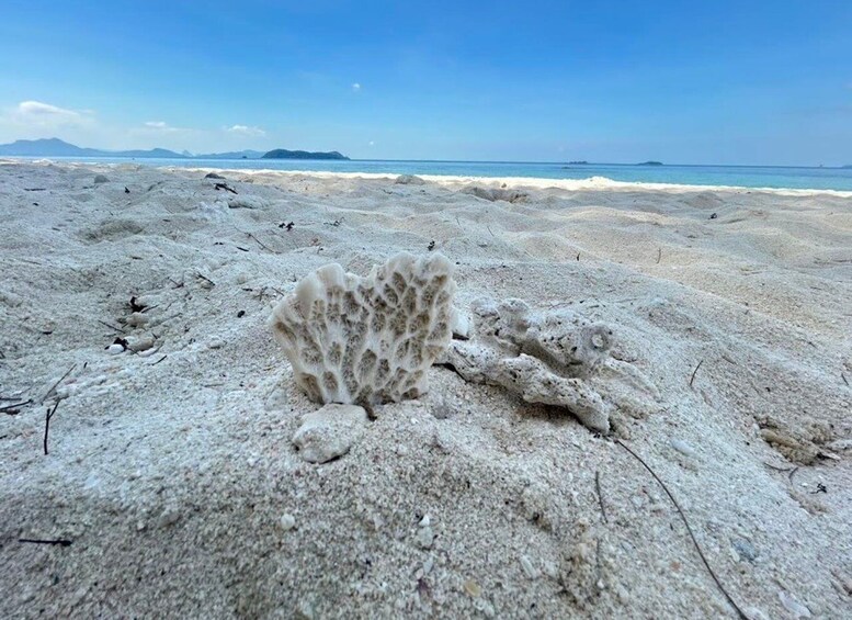 A sandy beach with a large, textured coral formation in the foreground and a calm sea with distant islands under a clear sky. 5