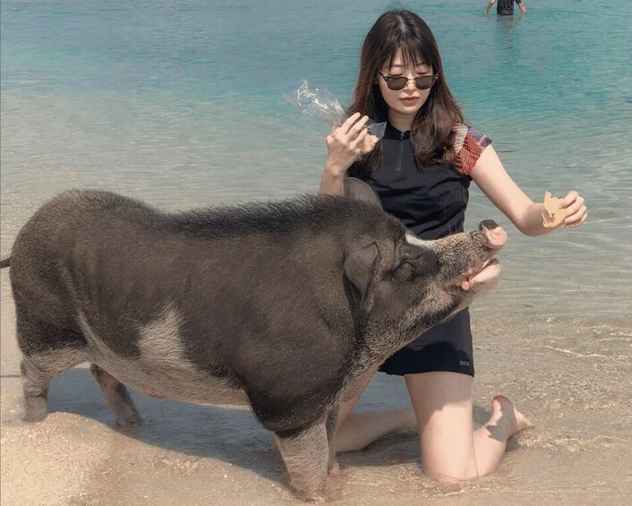 A person kneeling on a beach with a pig. 4