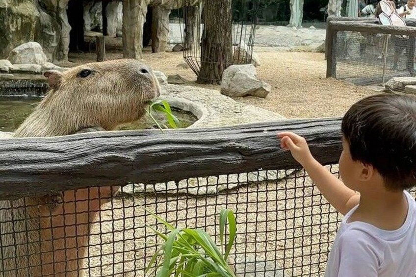 Paris Zoological Park Entry Ticket 3