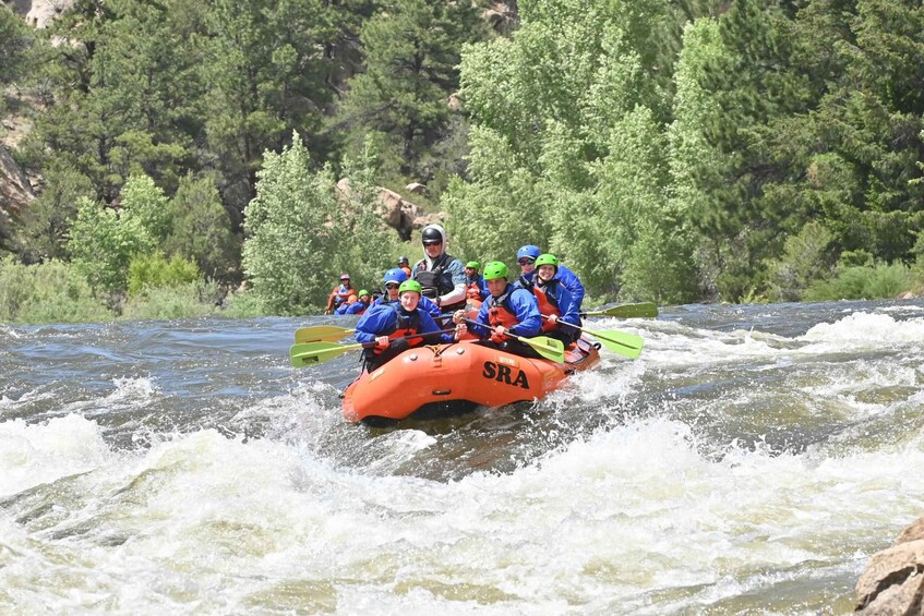 Salida: Browns Canyon Whitewater Rafting Half-Day Trip 1