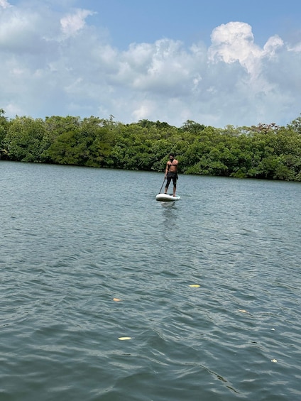 A person paddleboarding on a calm body of water with dense greenery in the background. 2