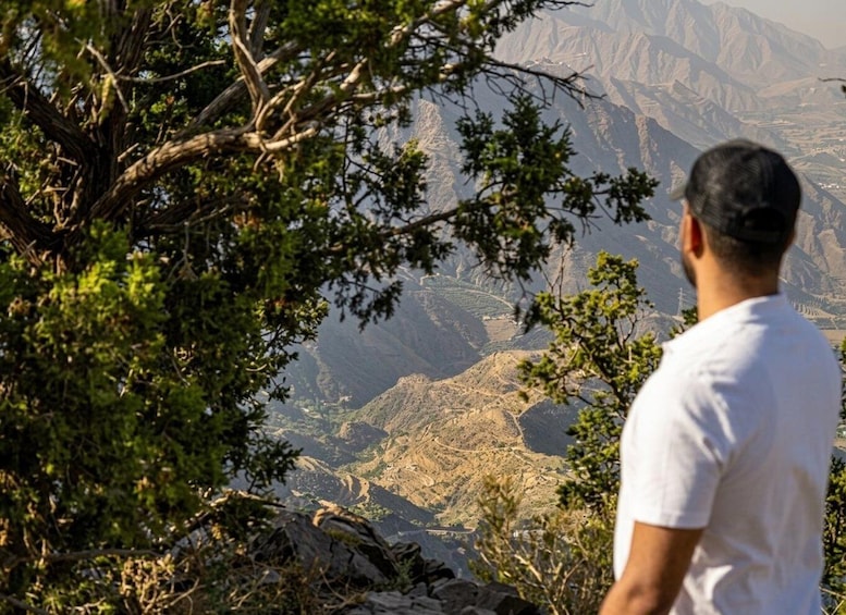 A person overlooking a mountainous landscape with a tree in the foreground. 2