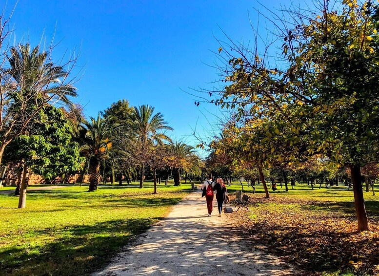 A park pathway with trees, grass, and a clear blue sky. 3