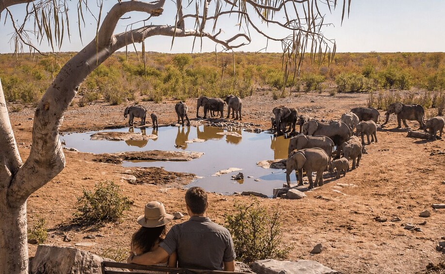 A group of elephants by a waterhole with a couple observing from a distance. 5
