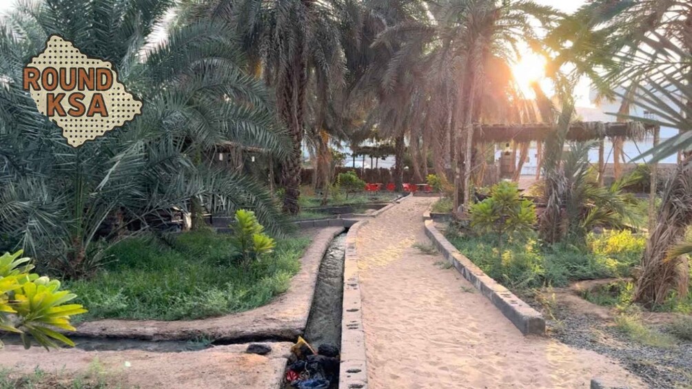 A garden pathway with palm trees and a water feature. 3