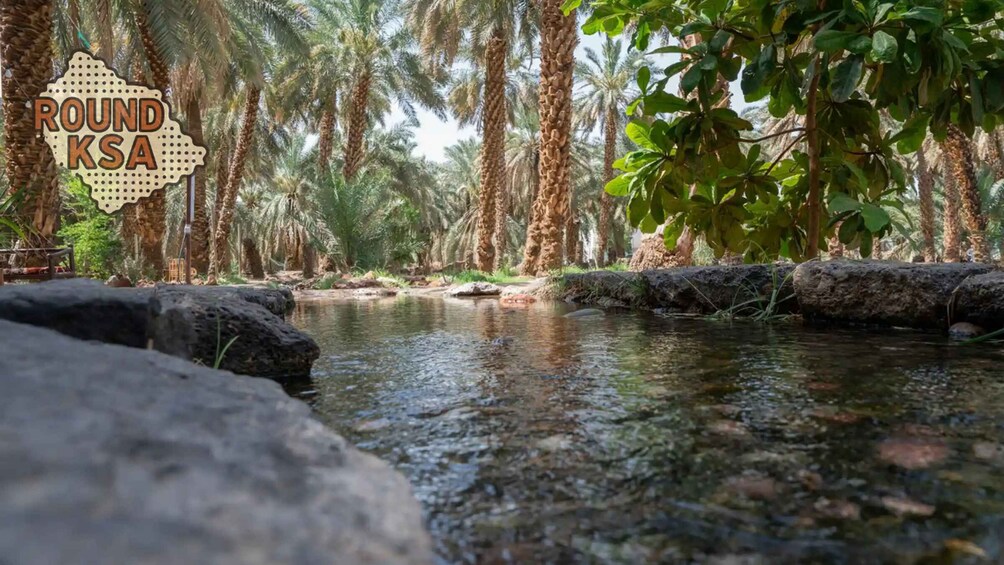 A serene waterway flanked by tall palm trees and a sign reading 'ROUND KSA.' 2