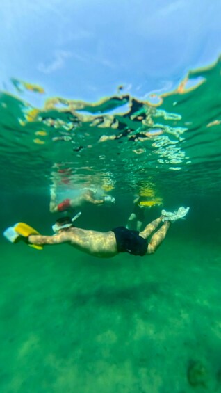 A person swimming underwater with fins and a snorkel. 3
