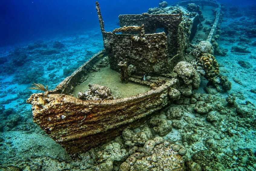 A sunken shipwreck with a wooden hull and metal superstructure, surrounded by coral and marine life. 1