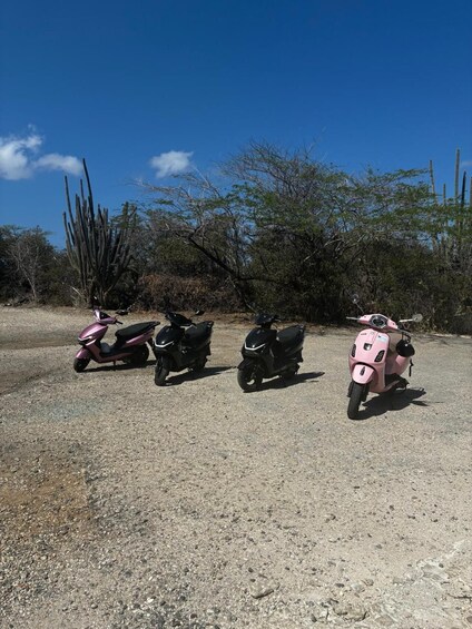 Three scooters parked on a gravel surface with cacti and shrubs in the background. 2